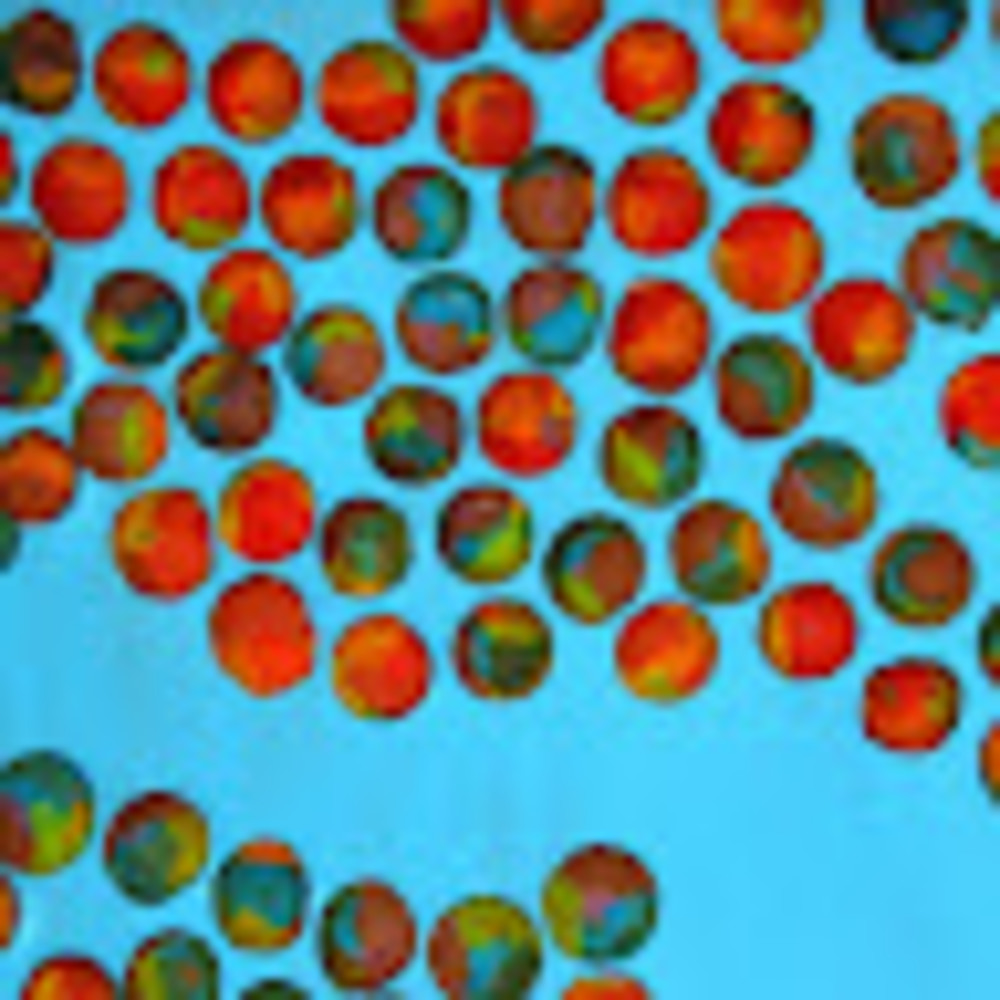 Meet your Posher, Alana